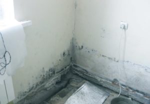 Отсыревшая стена каркасного дома