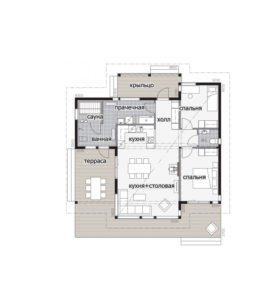 Финский дом под односкатной крышей Т 085